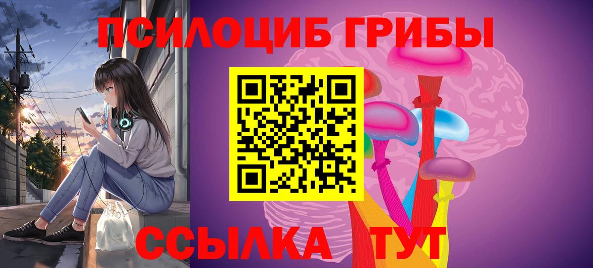 купить  цена  Псилоцибиновые грибы Cubensis  Галлюциногенные грибы Magic Shrooms  Вход с VPN  Шали 